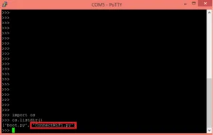 Terminál PuTTY s MicroPython příkazem os.listdir() vypisujícím soubor ConnectWiFi.py