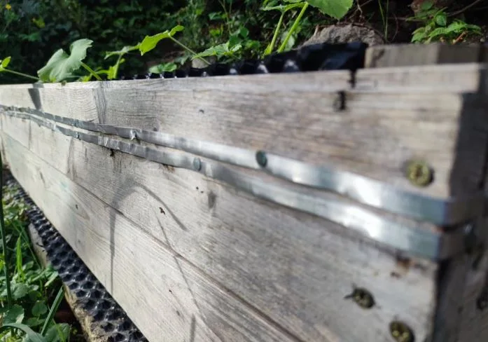 Truhlík s kovovým pásem a slimáky mezi listy rostlin