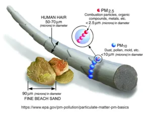 Schéma porovnává velikost částic PM2.5 a PM10 s lidským vlasem a jemným pískem